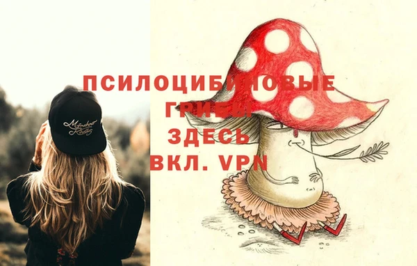 прущая мука Волоколамск