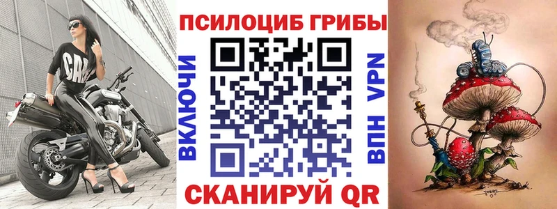 Галлюциногенные грибы Psilocybine cubensis  Купить закладки  Борисоглебск 