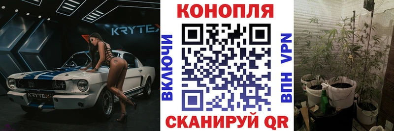 Каннабис гибрид Борисоглебск